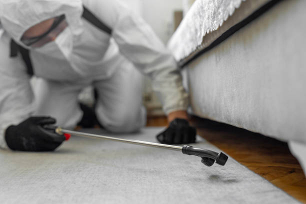 Professional Bed Bug Control technician working in Dawson County County, MT